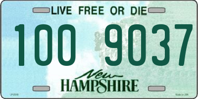 NH license plate 1009037