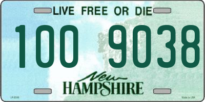 NH license plate 1009038