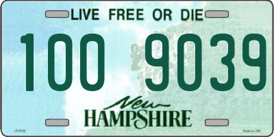 NH license plate 1009039