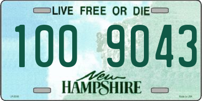 NH license plate 1009043