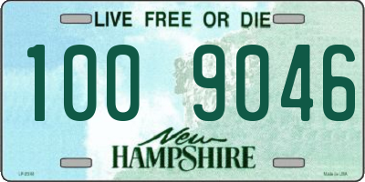 NH license plate 1009046