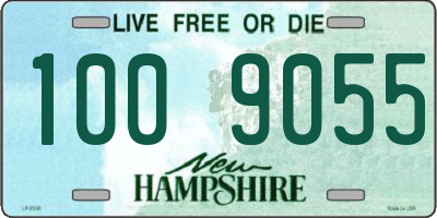 NH license plate 1009055