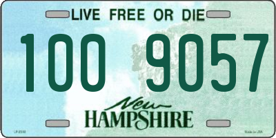 NH license plate 1009057