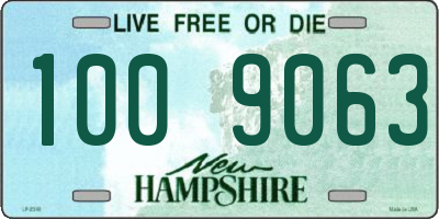 NH license plate 1009063