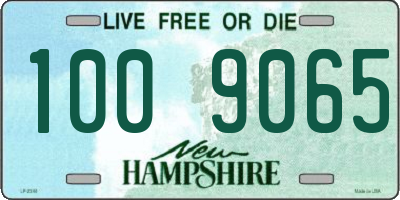 NH license plate 1009065