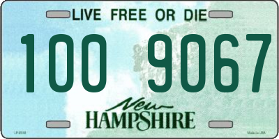 NH license plate 1009067