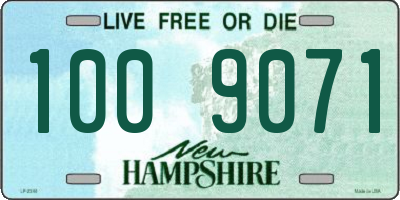 NH license plate 1009071