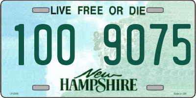 NH license plate 1009075