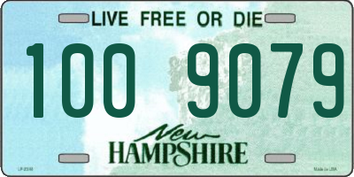 NH license plate 1009079