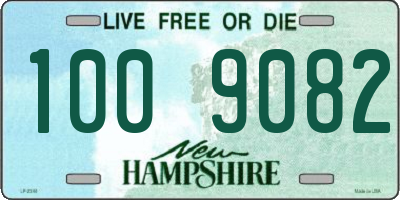 NH license plate 1009082