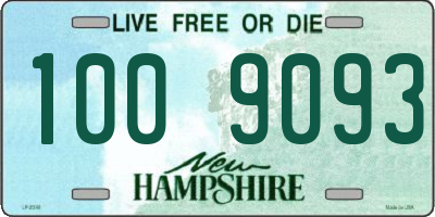NH license plate 1009093