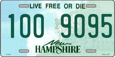 NH license plate 1009095