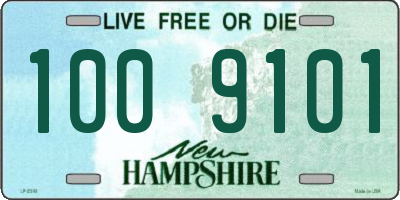 NH license plate 1009101