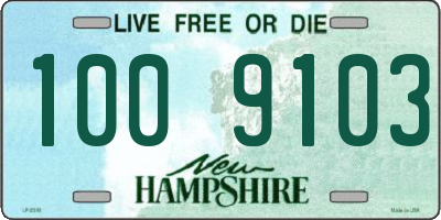 NH license plate 1009103