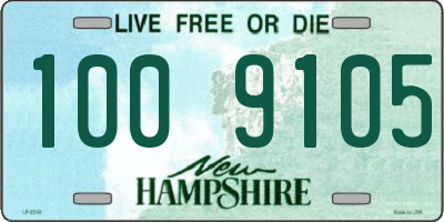 NH license plate 1009105