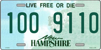 NH license plate 1009110