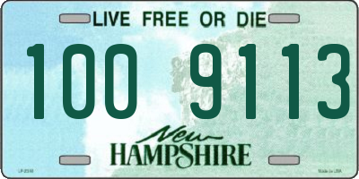 NH license plate 1009113