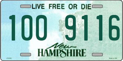 NH license plate 1009116