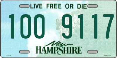 NH license plate 1009117