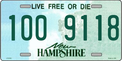 NH license plate 1009118