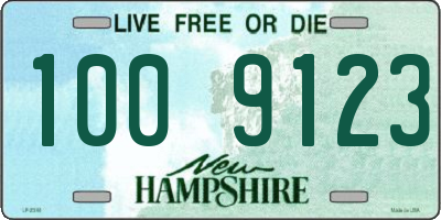NH license plate 1009123