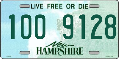 NH license plate 1009128