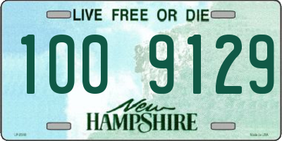 NH license plate 1009129