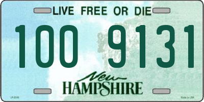 NH license plate 1009131