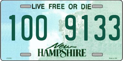 NH license plate 1009133