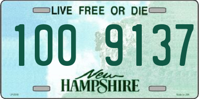 NH license plate 1009137