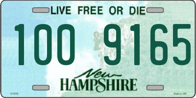 NH license plate 1009165