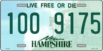 NH license plate 1009175