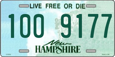 NH license plate 1009177