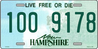 NH license plate 1009178