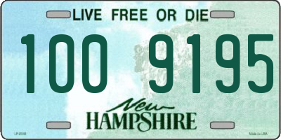 NH license plate 1009195