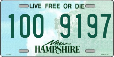 NH license plate 1009197