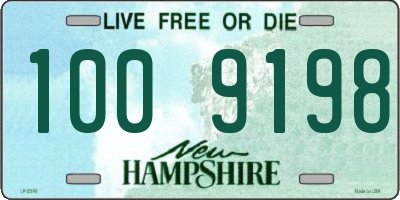 NH license plate 1009198