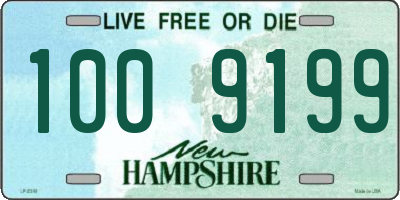 NH license plate 1009199