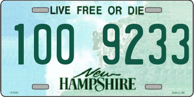 NH license plate 1009233