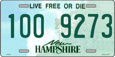 NH license plate 1009273