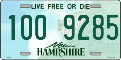 NH license plate 1009285