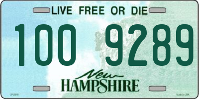 NH license plate 1009289