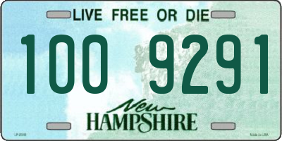 NH license plate 1009291