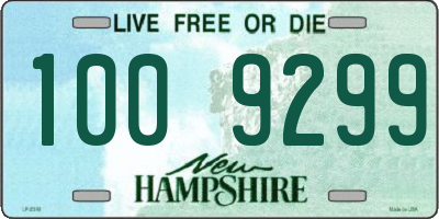 NH license plate 1009299