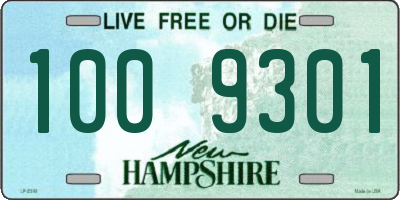 NH license plate 1009301