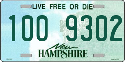 NH license plate 1009302