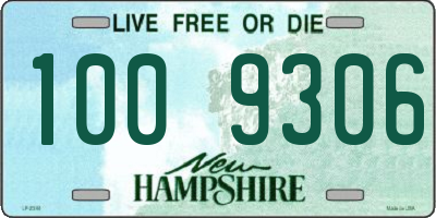 NH license plate 1009306