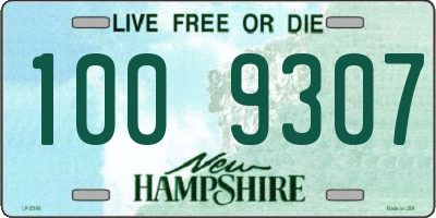 NH license plate 1009307