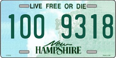 NH license plate 1009318