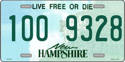 NH license plate 1009328